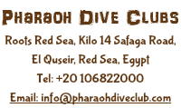 Pharaoh Dive Clubs Roots Red Sea, Kilo 14 Safaga Road, El Quseir, Red Sea, Egypt Tel: +20 106822000 Email: info@pharaohdiveclub.com